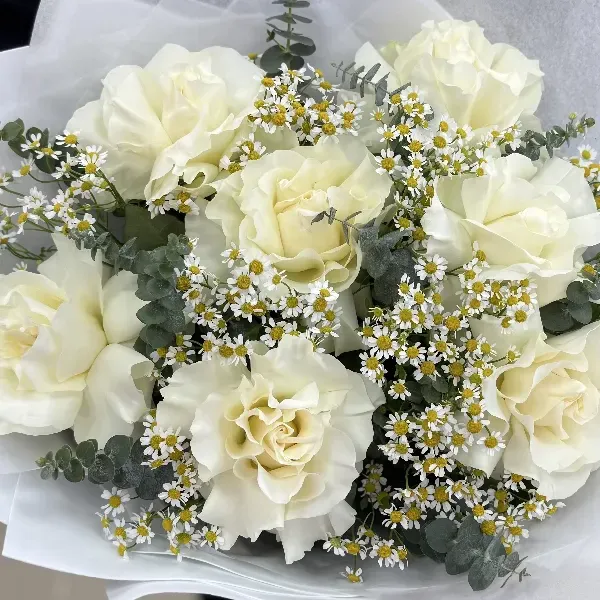 Роза Франция с ромашкой 