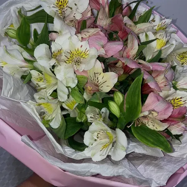 букет из альстромерии 