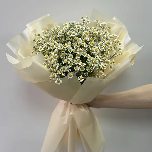 Монобукет из ромашки
