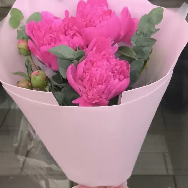 Букет Пионов с зеленью