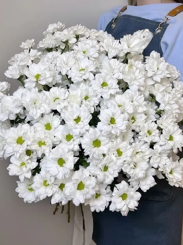Картинка букета