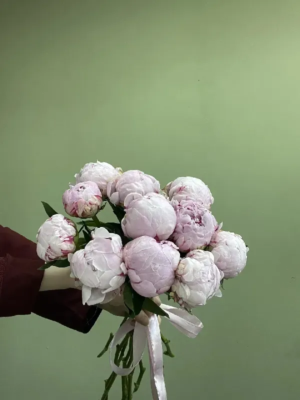 Картинка букета