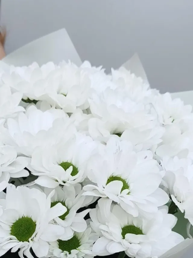 "Букет из кустовых хризантем ромашковых" – Фото 3