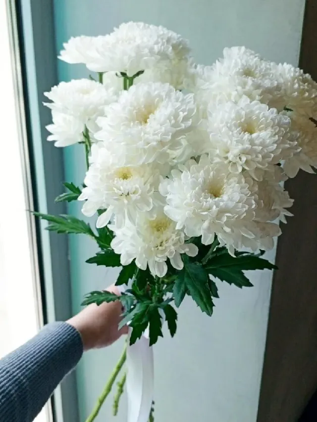 ""Светлые чувства"" – Фото 1