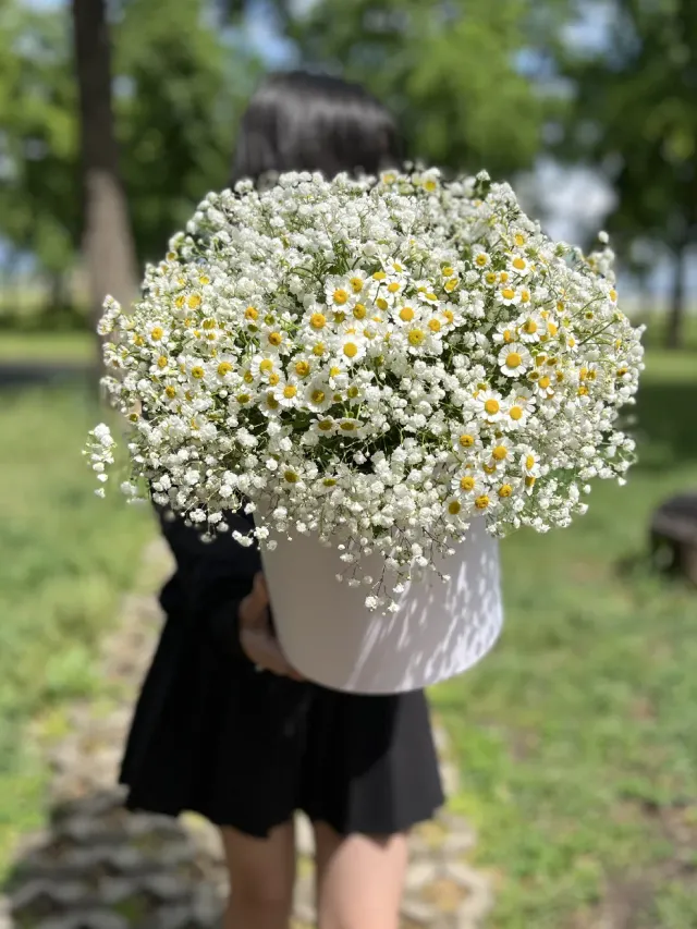 "Гипсофила и танацетум в шляпной коробке " – Фото 1