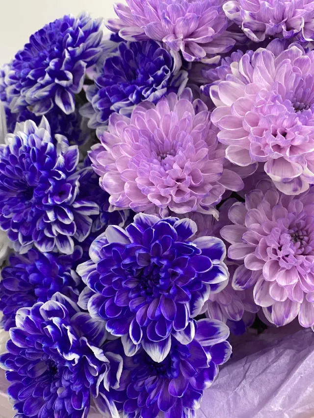 "Сиреневый взрыв💜" – Фото 3