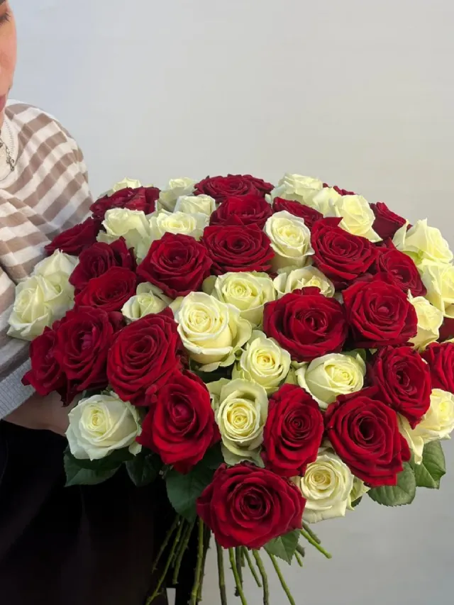 "Букет цветов 59 - Красно-белые розы 51 шт" – Фото 1
