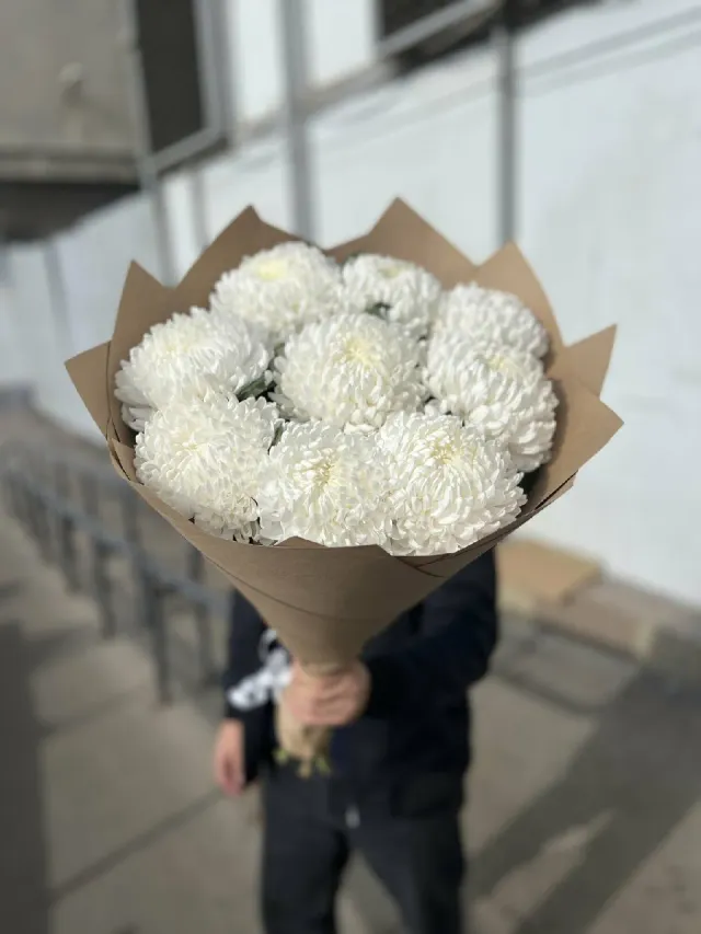 "Хризантема Магнум 9 штук" – Фото 3