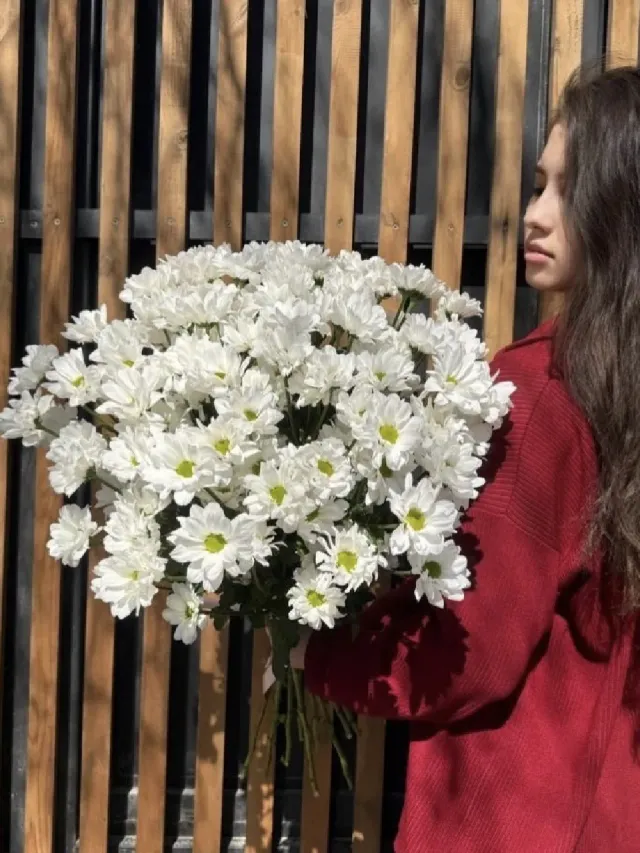 "«Ромашковое поле» 🌸 моно букет 17 хризантем кустовых" – Фото 2