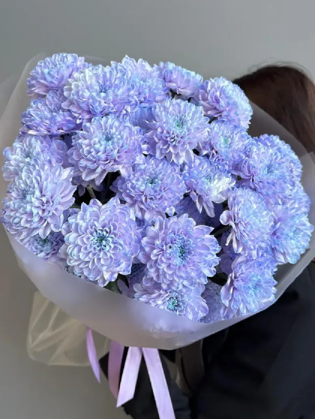 "Пышная хризантема Лаванда 💜" – Фото 1
