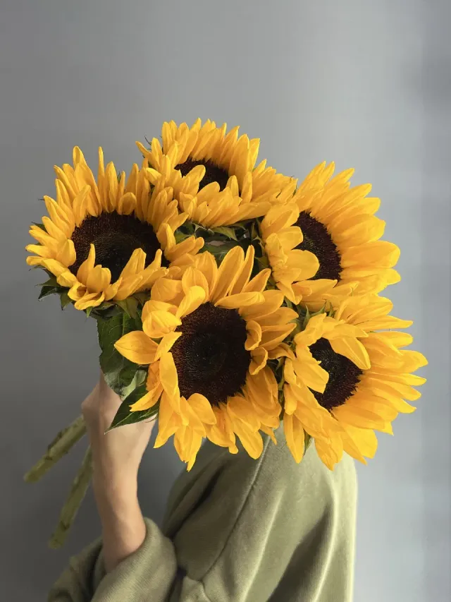"Монобукет сочные подсолнухи 🌻🌻🌻 5 шт" – Фото 1