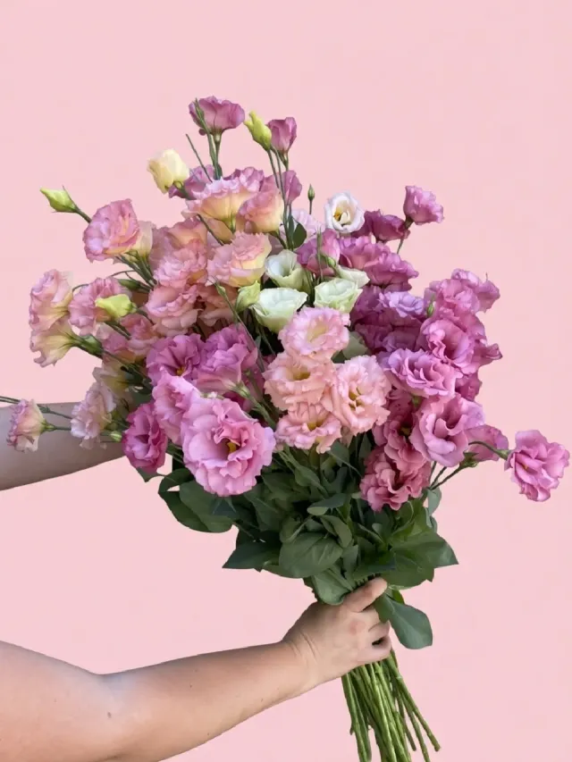 "эустома 35 штук 🌷" – Фото 1