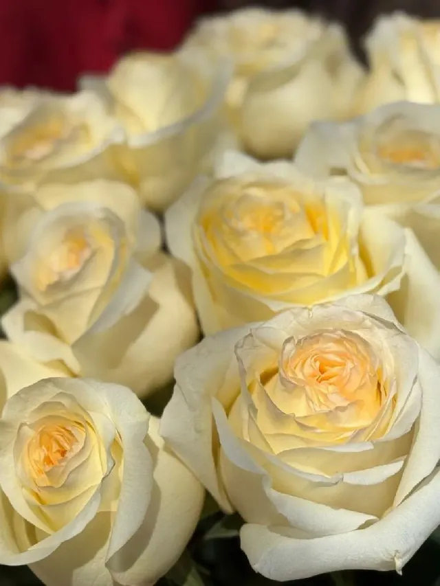 "Охапка роз конделайт " – Фото 2