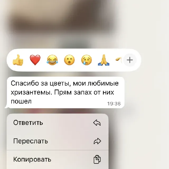 https://storage.yandexcloud.net/cvetov24-reviews/640x640_64235ee6-0c2c-4cf2-a1f2-2b7e377ecd43.webp