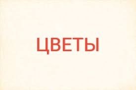 Цветы 