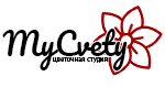 Mycvety