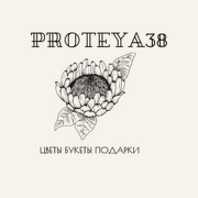 Proteya38 
