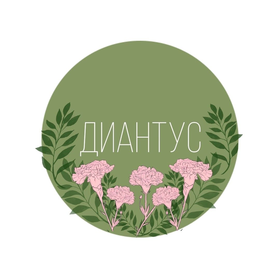 Диантус